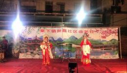 女附马