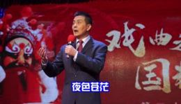 淮剧《杨乃武与小白菜》梁伟平施燕平经典选段下载，高清戏曲资源免费获取