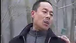 朋友妻不可欺