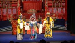晋剧《打金枝》全剧高清下载｜山西省艺精常兴艺术剧院经典演绎，宫廷温情与家国智慧尽收眼底