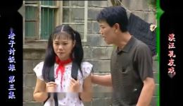 庐剧《有钱老子讨饭娘》欣赏版全集下载 - 吴南野等名家演绎现代伦理大戏 庐剧《有钱老子讨饭娘》欣赏版全集下载 - 吴南野等名家演绎现代伦理大戏
