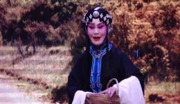 秦腔全本戏《赶坡》高清资源下载，秦小凤雒焕龙主演，靖远县秦剧团经典呈现
