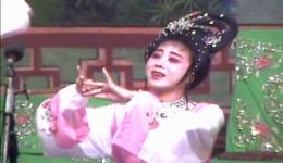 大型古装琼剧《妙趣鸳鸯》第三场高清资源下载，经典剧情不容错过