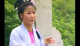 庐剧《麻疯女》全集下载_吴南野刘长芳主演总六集庐剧资源 庐剧《麻疯女》全集下载_吴南野刘长芳主演总六集庐剧资源