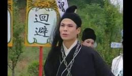 庐剧《错把老表当丈夫》戴黎明李文杰演唱 4总四集完整版戏曲资源下载 庐剧《错把老表当丈夫》戴黎明李文杰演唱 4总四集完整版戏曲资源下载