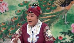 高新区小冯庄村线上专场免费观看京剧《对花枪》《杨门女将-巡营》高清戏曲资源下载 高新区小冯庄村线上专场免费观看京剧《对花枪》《杨门女将-巡营》高清戏曲资源下载