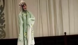昆曲经典《牡丹亭·寻梦》罗晨雪精彩演绎，在线观看下载，品味绝美戏韵下载
