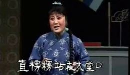 杨三姐告状