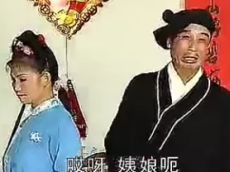 蠢子接姨娘