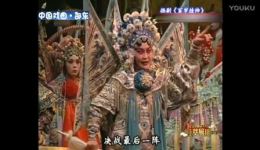 百岁挂帅
