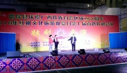 免费壮剧《羊场盛开致富花》下载 - 乡村振兴题材壮剧高清资源在线观看