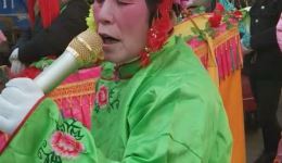 老少换