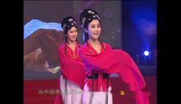 鸿雁传书