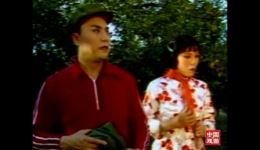 评剧《红白喜事》完整版下载 - 赵丽蓉马泰主演经典评剧全场资源下载
