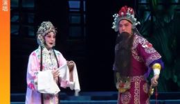 河北梆子《双错遗恨》计晨邢少燕演唱精彩片段，传统戏曲经典剧情在线下载下载