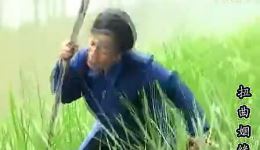 10集民间小调《扭曲姻缘》全剧mp4下载-高清戏曲视频资源在线观看 10集民间小调《扭曲姻缘》全剧mp4下载-高清戏曲视频资源在线观看