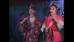 刘金定观星