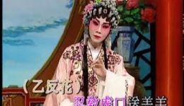 粤剧《二堂放子》罗家宝曾慧全曲演唱视频mp4下载，经典戏曲资源速存