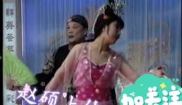 二人转正戏《包公赔情》下集下载 - 相阳八岁红演唱经典东北二人转下载