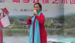 豫剧《五世请缨》精彩片段，许彩凤倾情演唱，杨家将忠烈故事震撼呈现！
