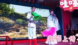 二人转正戏《大西厢之莺莺听琴》齐峰杨柏玲演唱，经典传统剧目在线下载下载