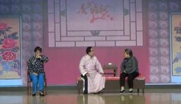 评剧《杨三姐告状》全剧下载 - 赵丽蓉谷文月经典演绎 高清资源