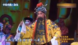 河北梆子《大登殿》王洪玲李树建主演 经典戏曲名家名段在线下载下载