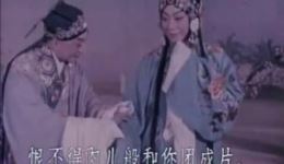 牡丹亭·游园惊梦