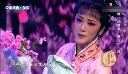 红楼梦·葬花