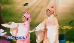 庐剧《梁祝》选段在线观看 周珊郁柳倾情演绎经典戏曲名段下载