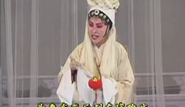 蜜蜂记