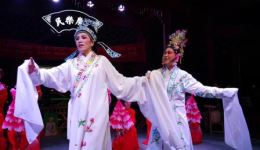婺剧《牡丹亭》王巧珍吴彩仙主演，经典爱情剧目高清戏曲资源下载