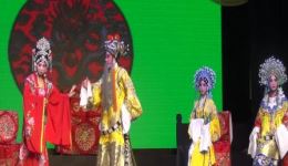 婺剧《金水桥》美丹团林爱芳施芳燕主演，经典宫廷权谋大戏在线下载下载