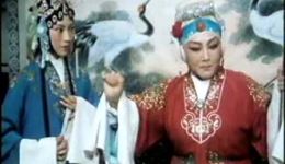 花打朝,程咬金照镜子,花枪缘