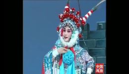 黄梅戏《三请樊梨花》全剧高清下载 孙娟汪小铎主演经典戏曲mp4资源下载