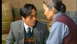 橘子红了