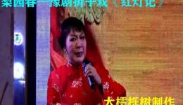 豫剧《红灯记》折子戏名段下载，梨园春版戏曲视频mp4/mp3资源免费获取