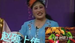 二人转正戏《头本蓝桥》方富有苏翠英主演MP3/MP4高清资源下载下载