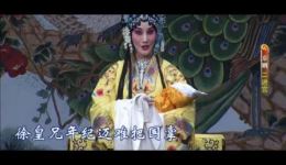 京剧《大·探·二》2-2全集下载 赵秀君赵芳媛康万生杨乃彭主演 天津京剧院正版资源