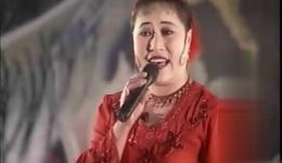 二人转搞笑《傻子哭妻》方傻子苏小英演唱戏曲视频MP4资源下载下载