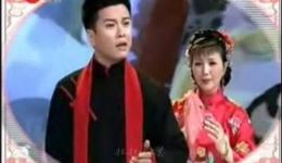 沪剧《家 洞房》选段下载赵志刚茅善玉经典演绎，感受传统与现代碰撞的戏曲魅力下载