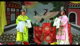 越调经典《温凉盏》全场下载-毛爱莲主演河南省许昌越调剧团演出