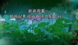 桐城奇案