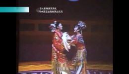 免费戏曲资源下载歌仔戏《打金枝》选段高清完整版，经典传统剧目在线观看