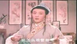 茶童戏主