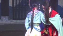 青松宝图