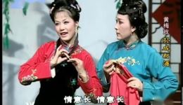黄梅戏《孙成打酒》全场MP3/MP4下载，左胜利郑玉兰主演经典戏曲资源