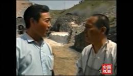村南柳