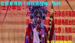 梨园春豫剧《穆桂英挂帅》选段在线观看，李春景经典演绎，重温巾帼豪情下载