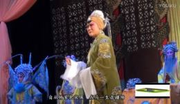 太君辞朝